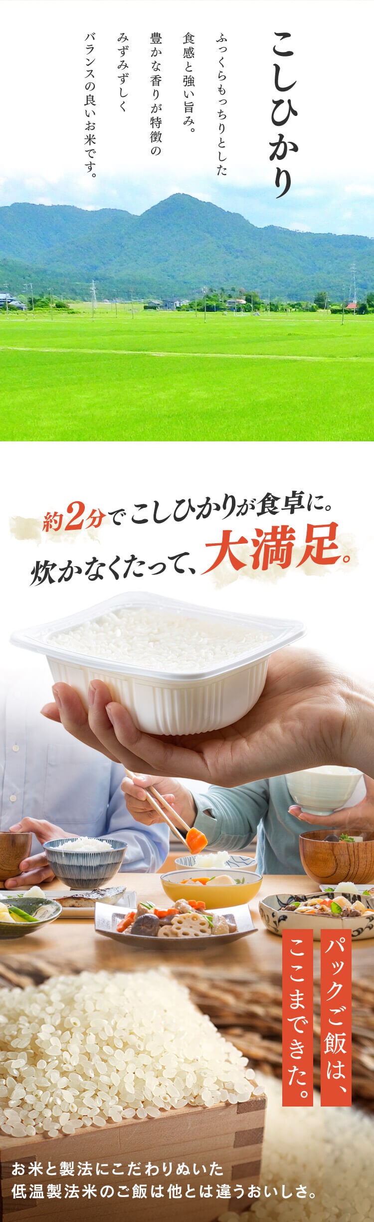 【24食】 パックご飯 150g 3食×8 国産コシヒカリ1