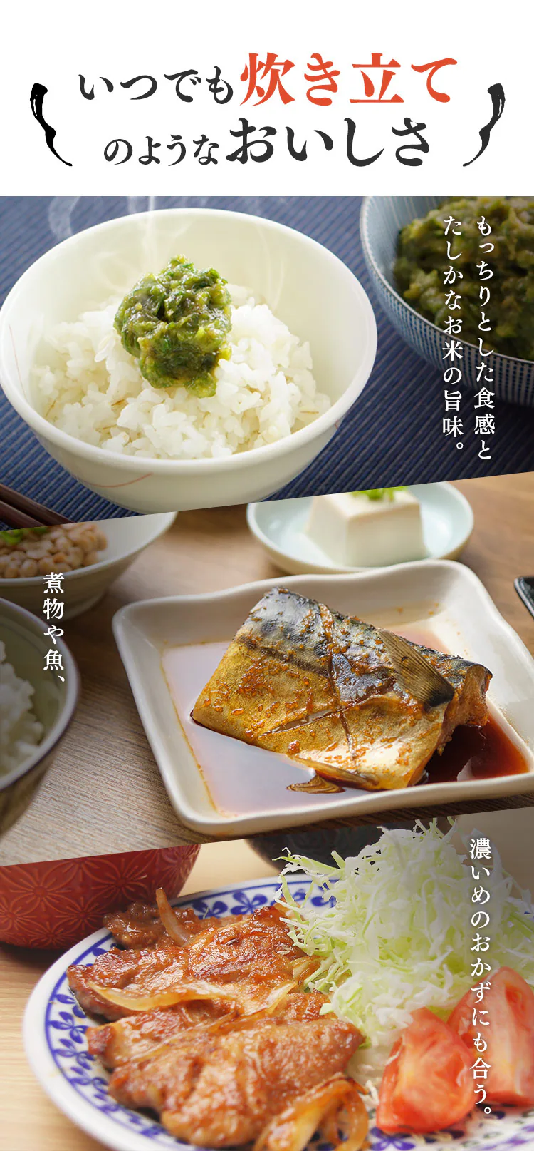 【24食】 パックご飯 150g 3食×8 国産コシヒカリ2