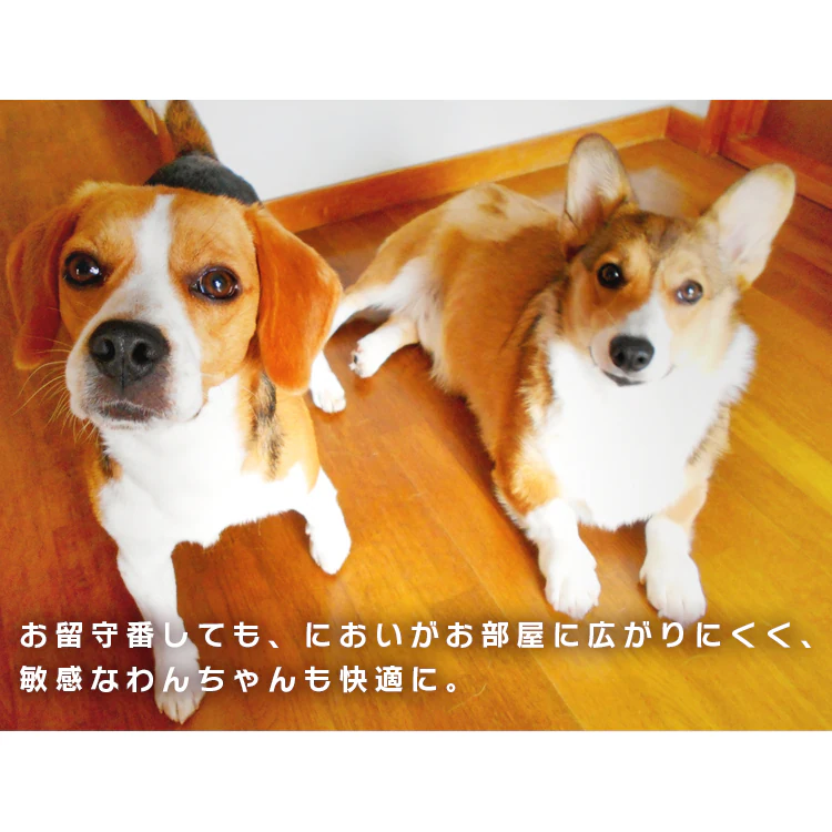 【20枚】 厚型 さらさらメッシュシーツ ダブルワイド 犬 トイレ7