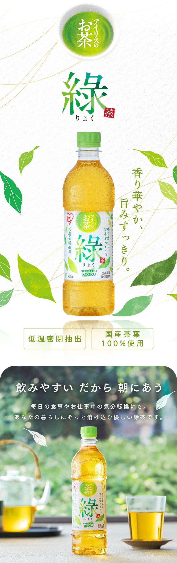 【?高?購入したことない方限定】アイリスのお茶 緑 500ml×12本1