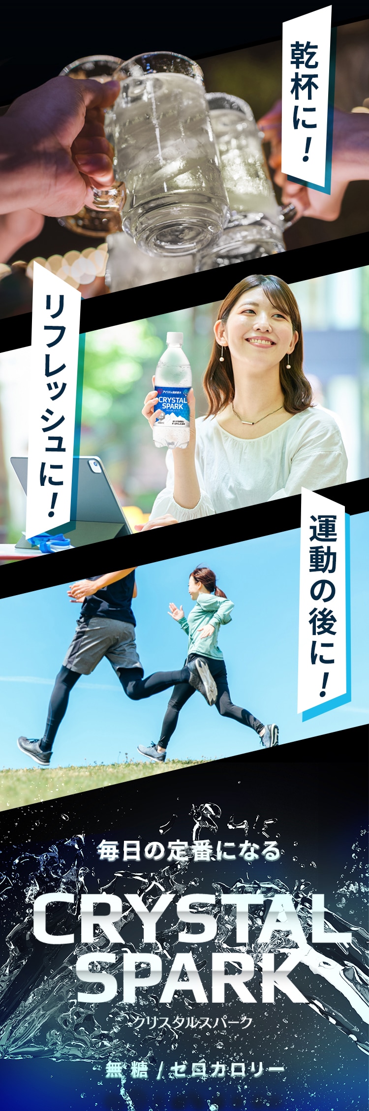 CRYSTAL SPARK 秋冬フレーバーアソートセット  500ml×12本3