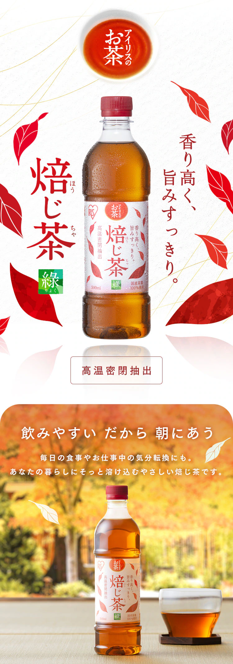 ラベルあり ほうじ茶 500ml&times;24本0