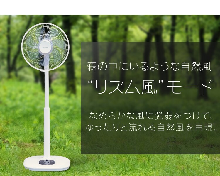 森の中にいるような自然風“リズム風”モード