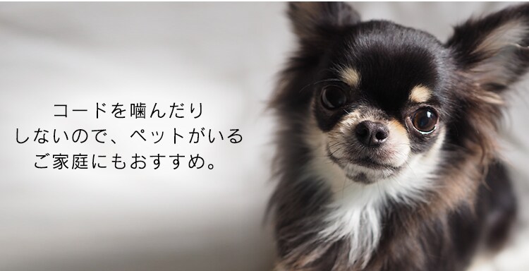 扇風機 壁掛け 左右首振り WFM-306 ホワイト8