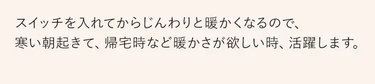 電気ストーブ 遠赤外線 首振り 2段階調節 IESB-S800 ホワイト13