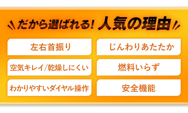 ストーブ 遠赤外線 2段階調節 左右首振り KIESB-S900 900W ブラックコート 縦型7