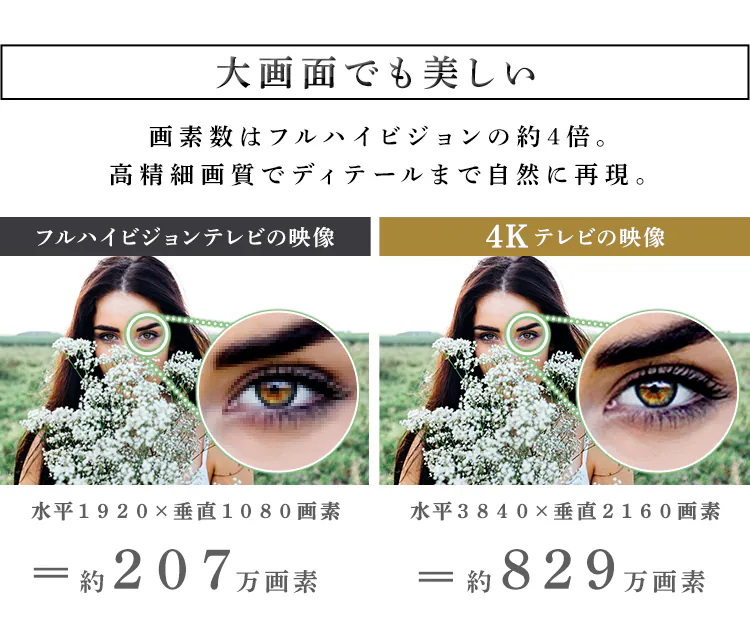 テレビ 65V型 4K対応 Fiona 65UB10PB【代引き不可】4