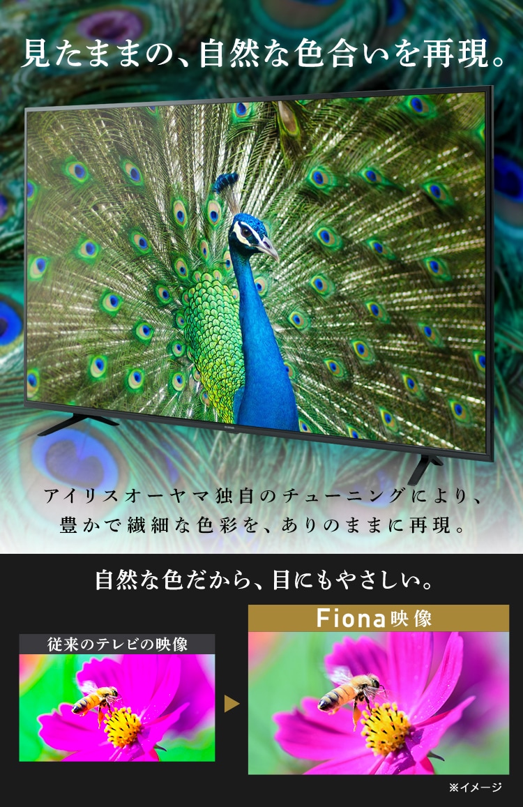 テレビ 65V型 4K対応 Fiona 65UB10PB【代引き不可】2