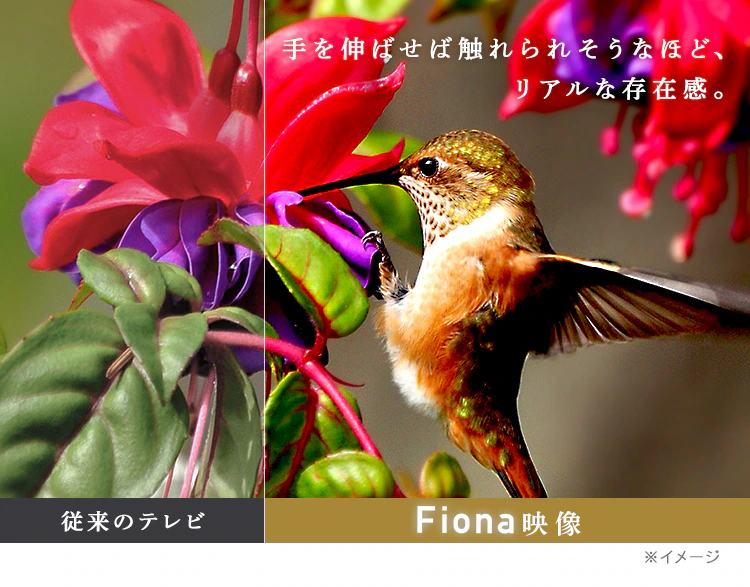 テレビ 65V型 4K対応 Fiona 65UB10PB【代引き不可】7