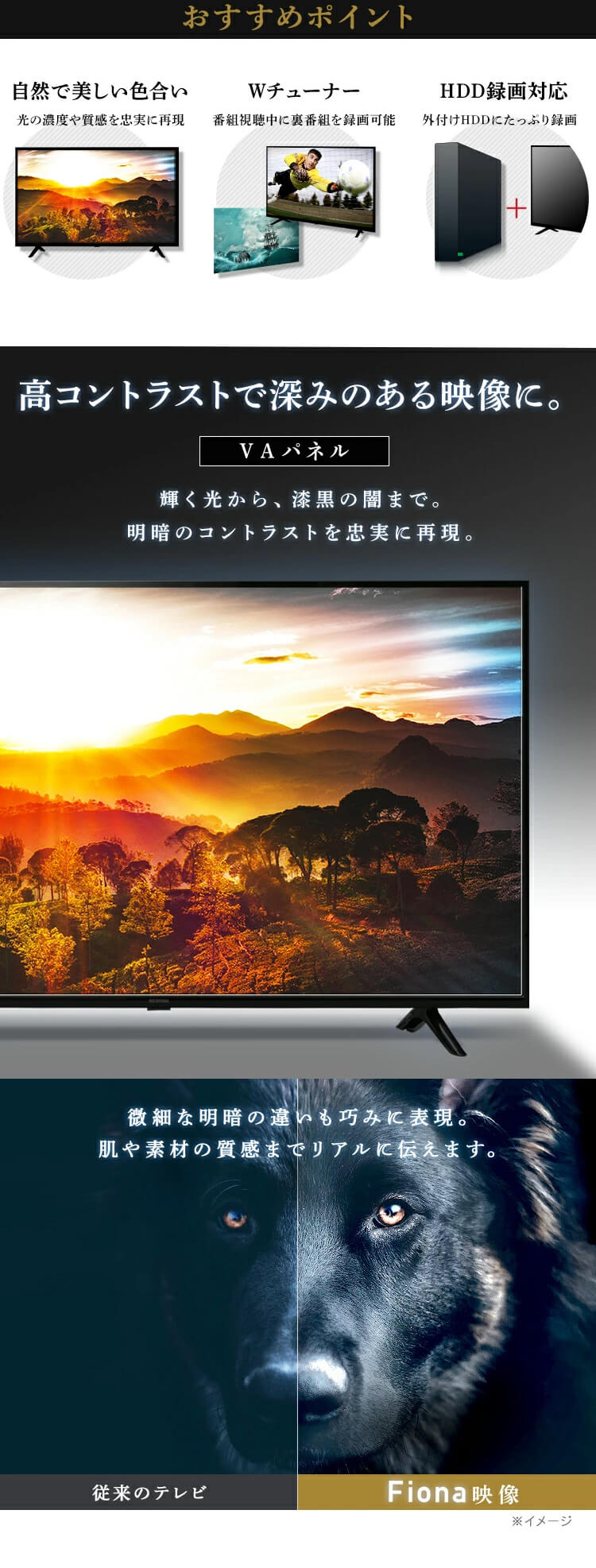 Fiona 4K対応液晶テレビ 50インチ 50UB10P H513848FO Fiona 4K対応液晶テレビ 50インチ 50UB10P H513848FO