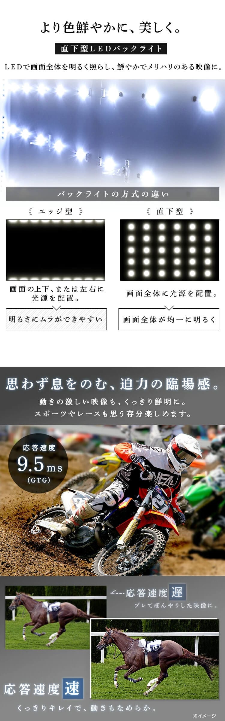 Fiona 4K対応液晶テレビ 50インチ 50UB10P H513848FO