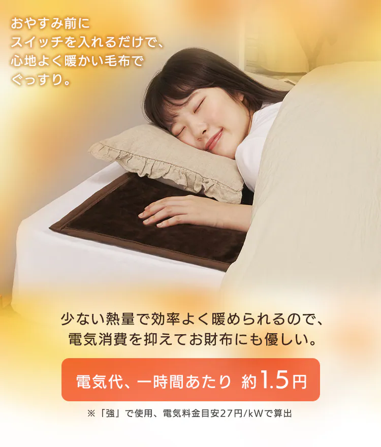 電気毛布 敷き 140×80? 自動切タイマー EHB-F1480 全2色7