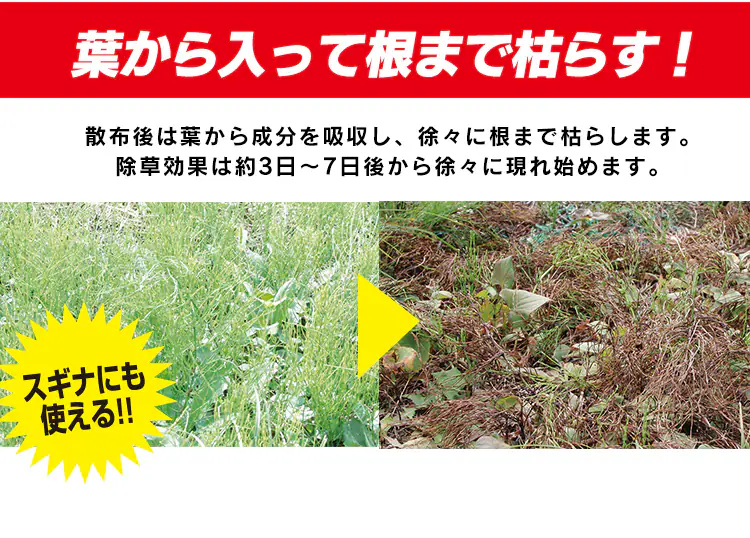 【完売品】【4個セット】 除草剤 2L ストレートタイプ 速攻強力 SJS−2L白2