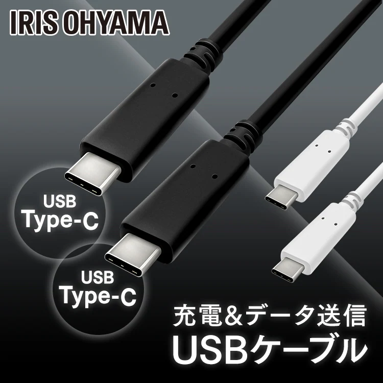 【メール便】【2個セット】USB-C to USB-Cケーブル 1m(GEN2) ICCC-B10-W ホワイト【代引き不可】0