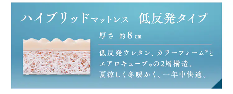 エアリーハイブリッドマットレス 低反発タイプHBT80-S シングル 敷パッド+着る毛布19