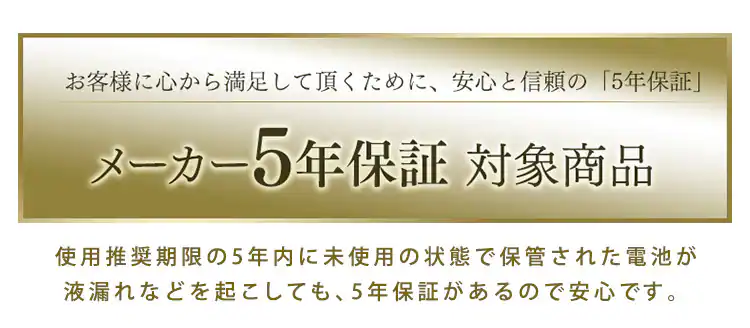 乾電池 BIGCAPA basic 単4形10パック2