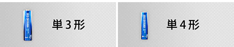 乾電池 BIGCAPA basic 単4形10パック9