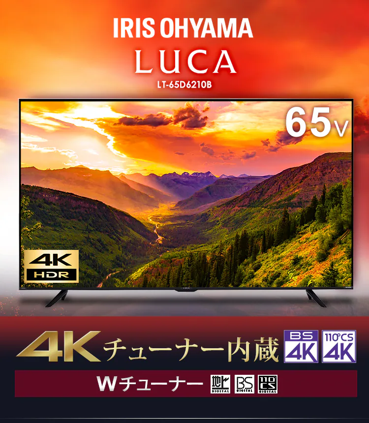 4Kチューナー内蔵液晶テレビ 65V LUCA LT-65D6210B ブラック【代引き不可】2