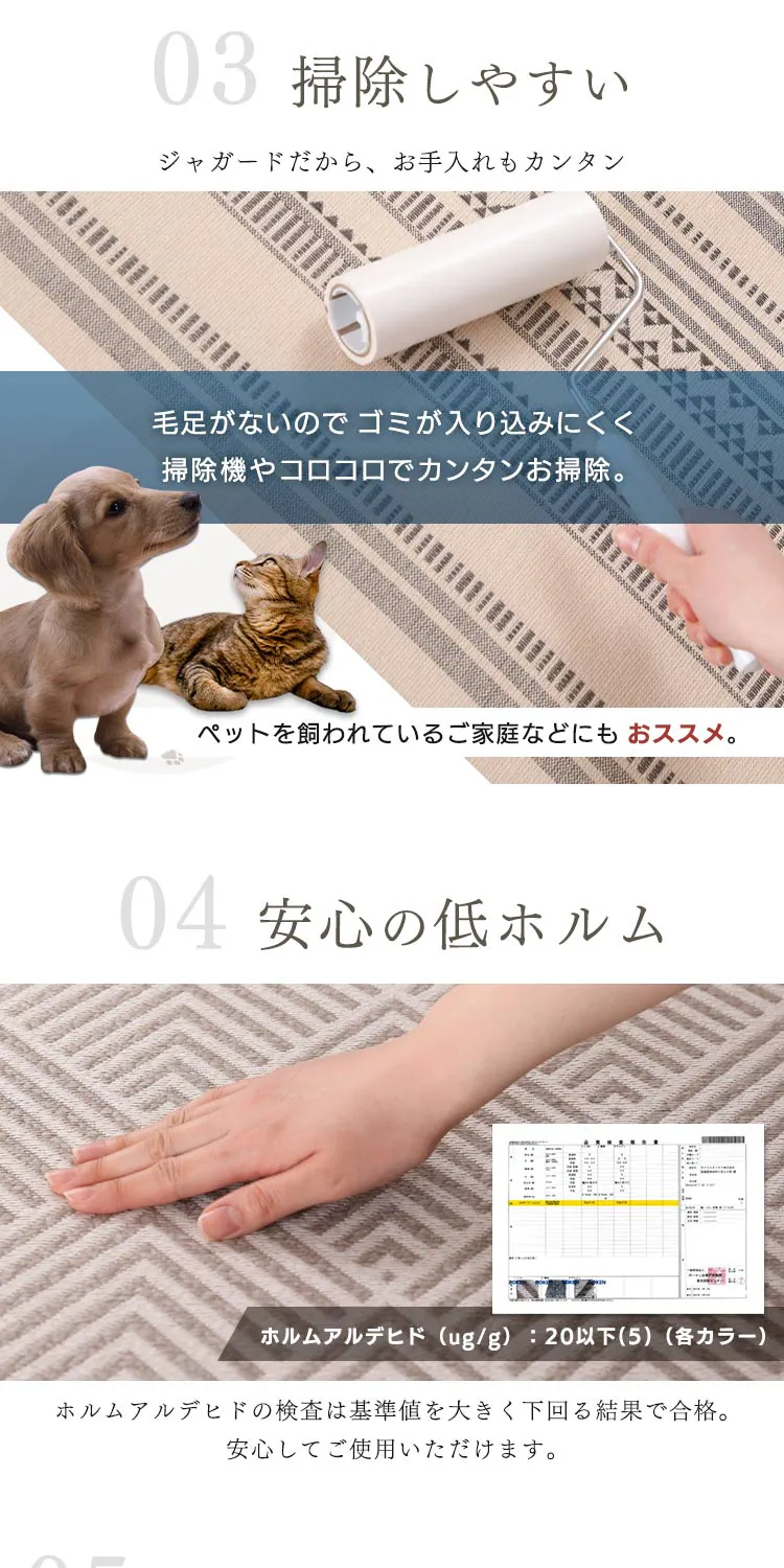 ラグ ラ・クッション ジャガード 185×185cm ACRJ-1818E エスニック レッド5