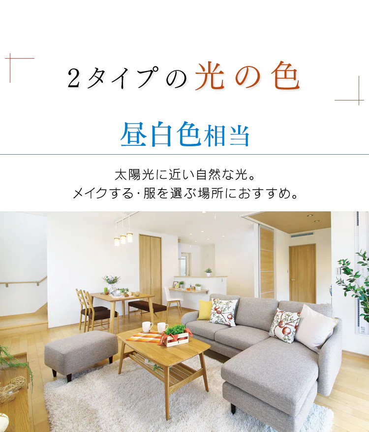 LEDフィラメント電球 E26口金 全方向タイプ 25W形相当 密閉形器具対応 ミニボール球 (昼白色・電球色)4