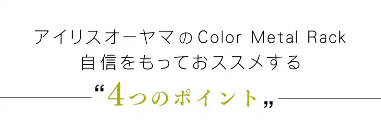 スチールラック 幅75cm 2段 メタルラック カラー ワードローブ CMW2-75182 ブラウン5