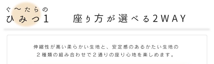 【訳あり】ぐ〜たらボール GUB-1 ネイビー2