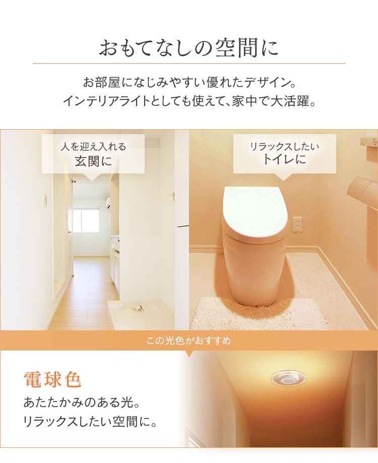 パネルライト 小型 LED 750lm 電球色 玄関 廊下 キッチン 洗面所 クローゼット トイレ 物置 照明 SCL-75L-LGP6