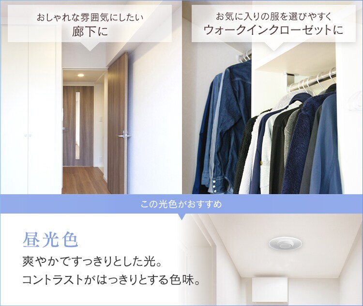 パネルライト 小型 LED 1500lm 人感センサー付 昼光色 玄関 廊下 キッチン 洗面所 クローゼット トイレ 物置 照明 SCL-150DMS-LGP7