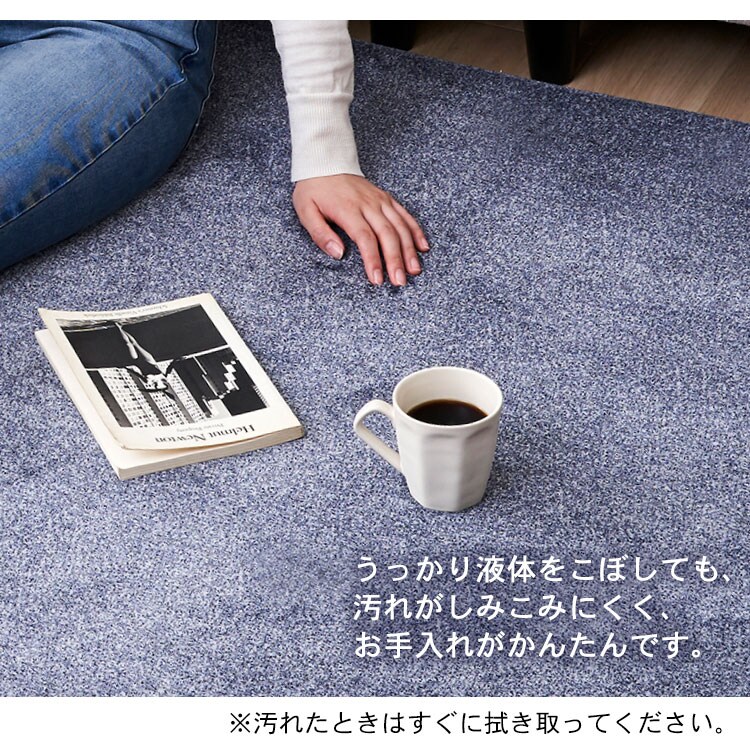 ラ・クッションラグ ACRB-812 全4色13