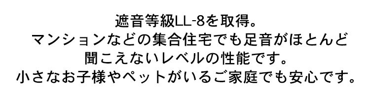 ラ・クッションラグ ACRB-812 全4色15