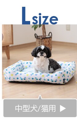 角型L