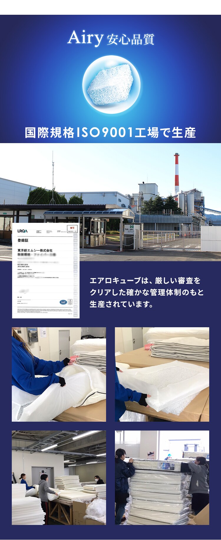 クッション 厚さ5.5? エアリー CAR-43434