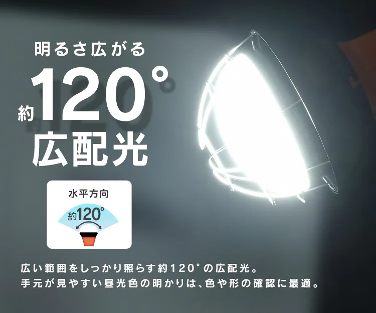 投光器用交換電球 5500lm LDR45D-H-E393
