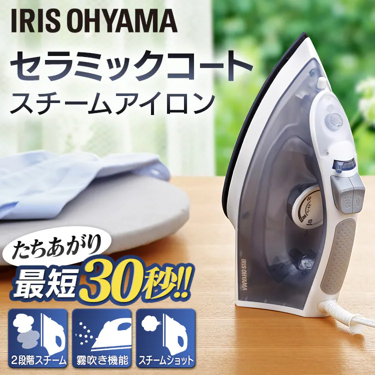 スチームアイロン IRN-21C グレー 0