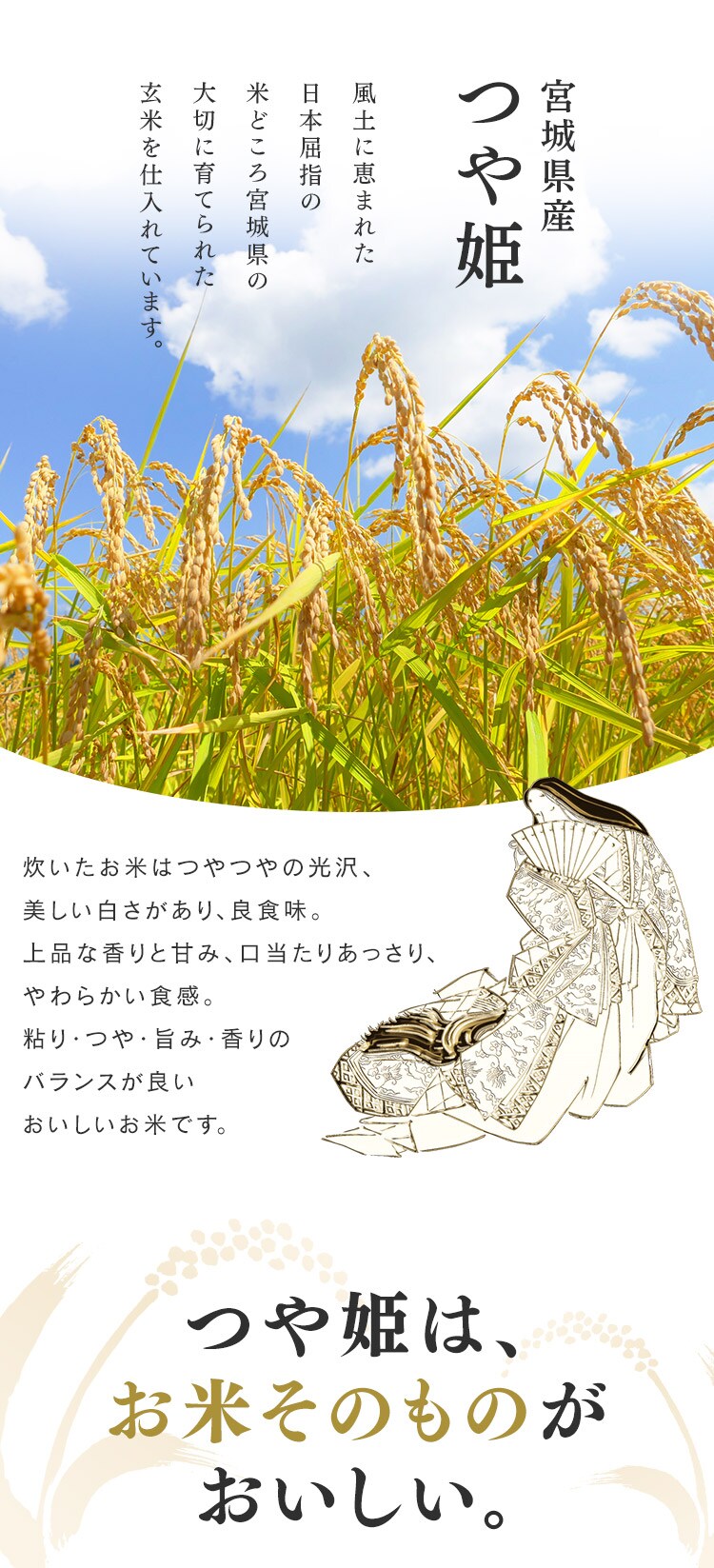 令和6年産【2袋セット】低温製法米 宮城県産つや姫 5kg 1571151 令和6年産【2袋セット】低温製法米 宮城県産つや姫 5kg 1571151