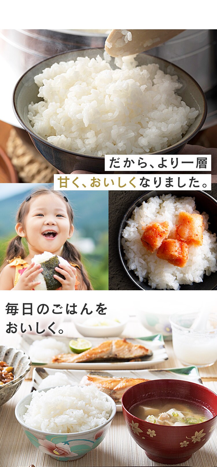 令和6年産 低温製法米 無洗米 宮城県産 ひとめぼれ 5kg 6