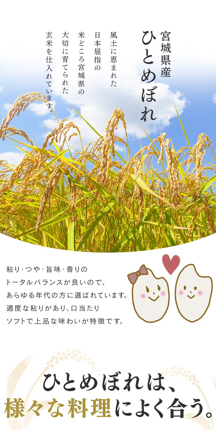 令和6年産 低温製法米 無洗米 宮城県産 ひとめぼれ 5kg 2