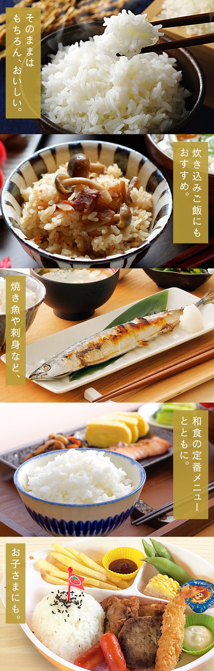 令和6年産 低温製法米 無洗米 宮城県産 ひとめぼれ 5kg 3