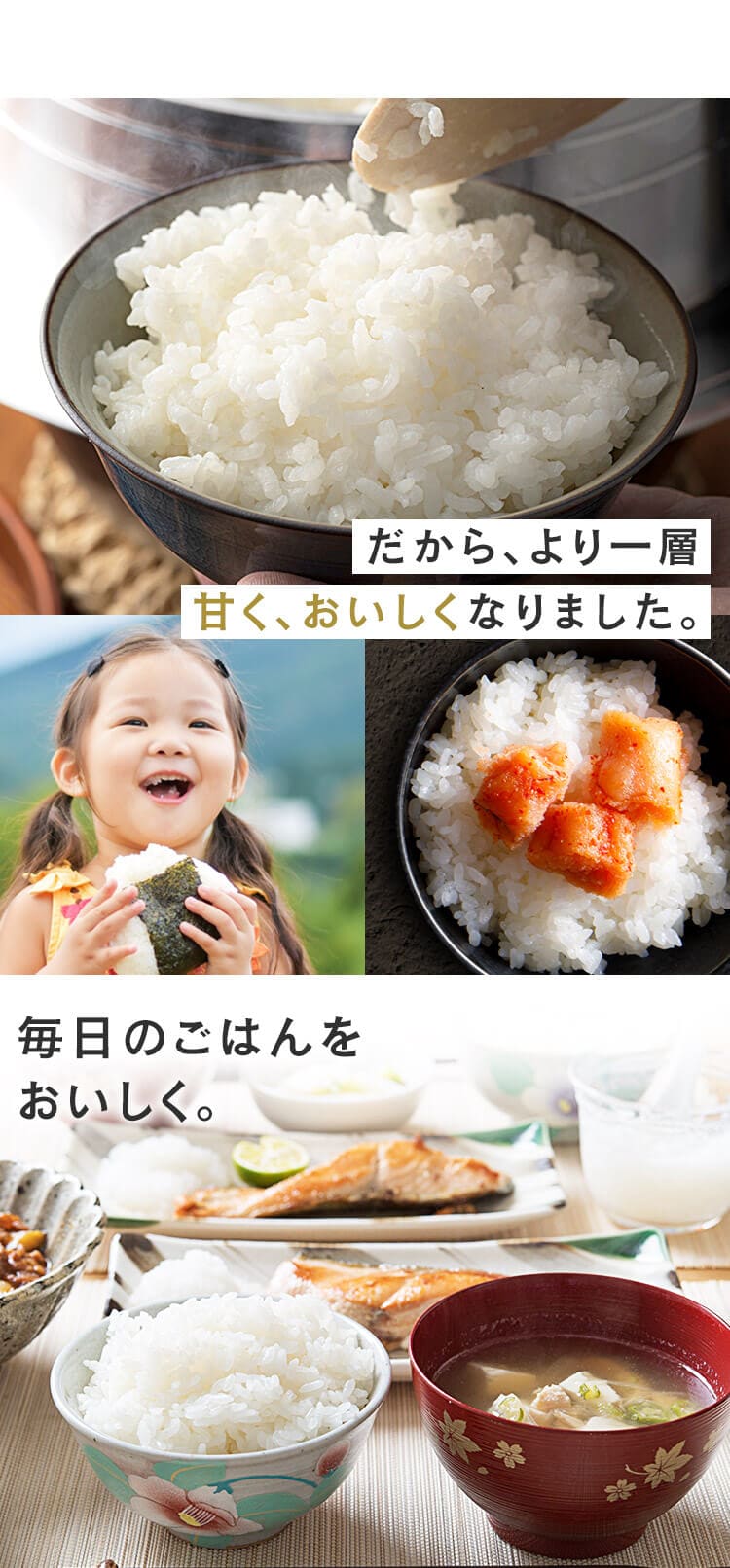 アイリスの低温製法米 北海道産ゆめぴりか 5kg・10kg・20kg【プラザマーケット】6