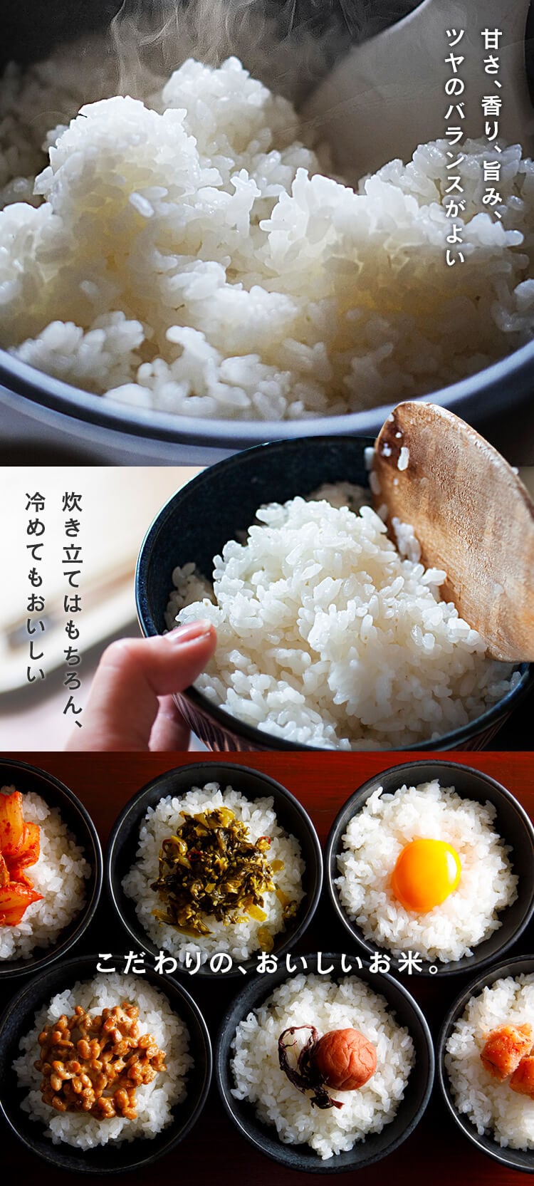 【新米】令和7年度産 和の輝き 国産ブレンド 5kg×2袋3