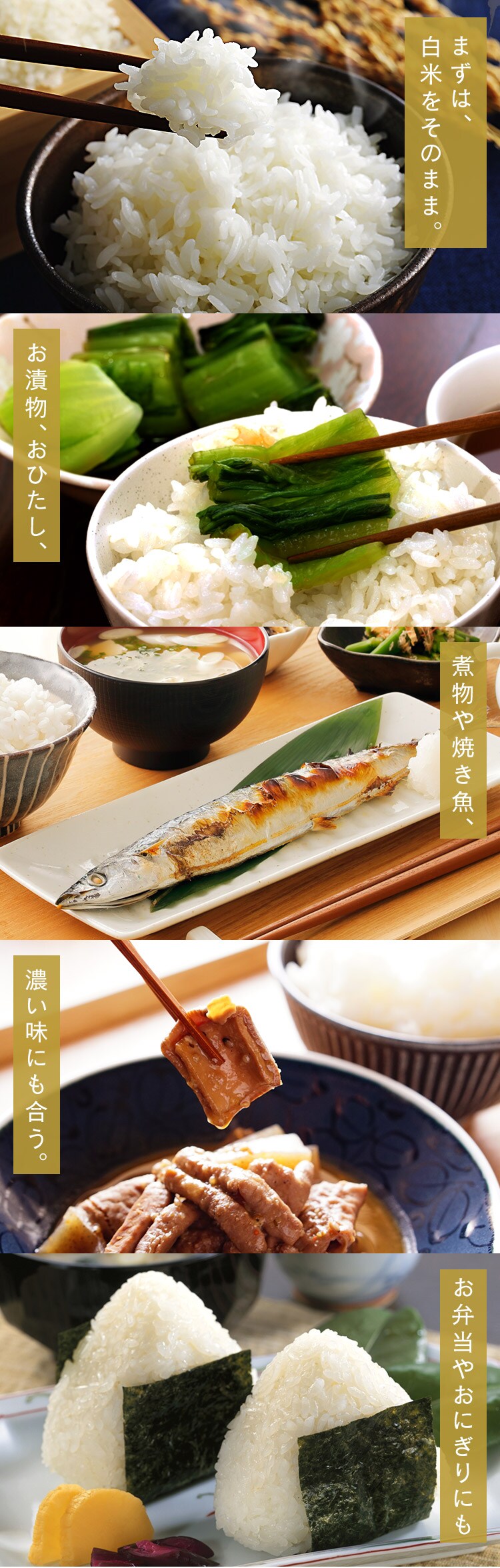 令和6年産【2袋セット】低温製法米　無洗米　新潟県産こしひかり　5kg3