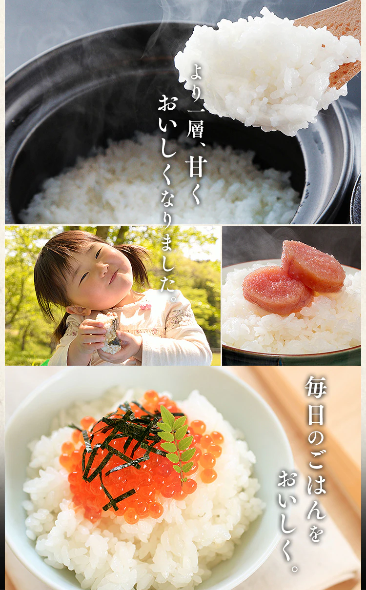 【訳あり】最短賞味期限 2026年 11月上旬　製法米ミルキークイーン 5kg&times;44