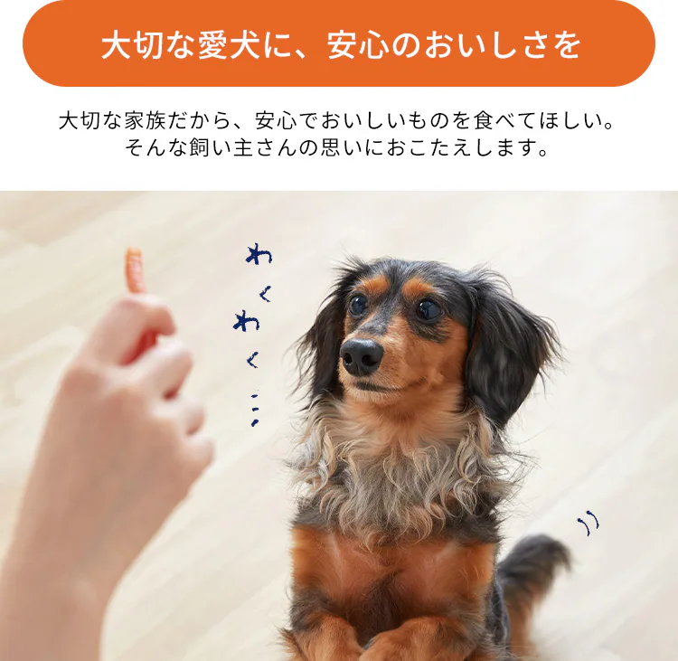 まるごとささみジャーキー 100g 細切り 野菜入り P-IJ-HSEV100 犬 おやつ【代引き不可】1
