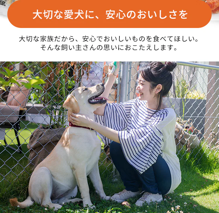 ささみ巻きジャーキーガム 8本 P-IJ-GMN8 犬 歯磨き デンタルケア【代引き不可】1