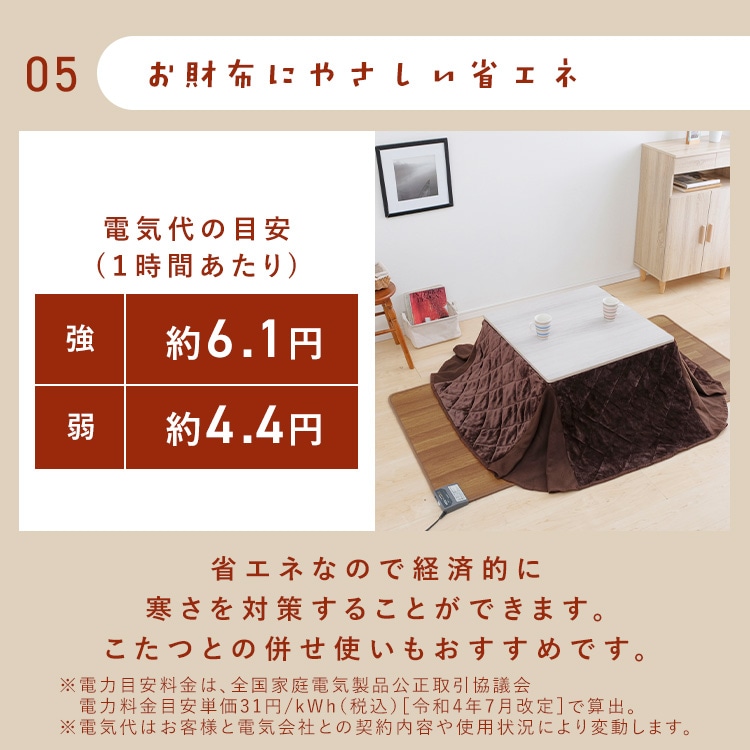 Takada ホットカーペット 　TB-1033 バーガンディ1枚 ホットカーペット 88×176 温度調節5段階 HCM-1809FL-M 撥水加工 お