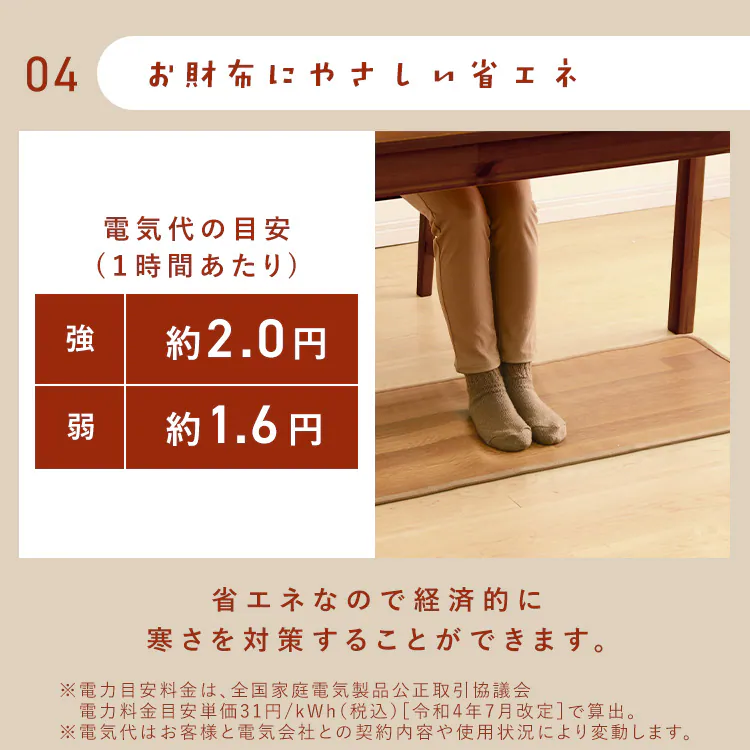 ホットカーペット 45×110? 温度調節2段階 HCM-1105FL-M5