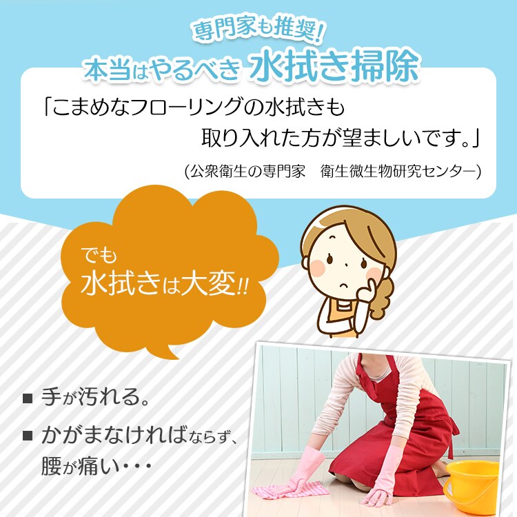 【訳あり】《専用モップ2個付き》フラットモップ FLMO-1301