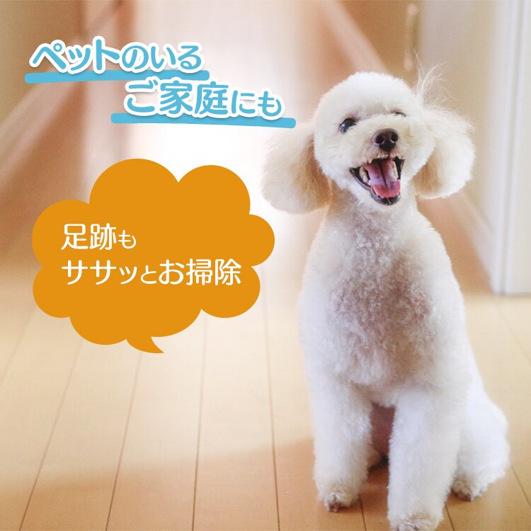 【訳あり】《専用モップ2個付き》フラットモップ FLMO-13012