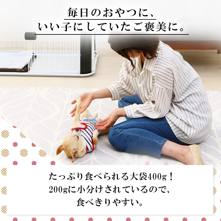 砂肝ジャーキー 400g P-IJ-SG4003