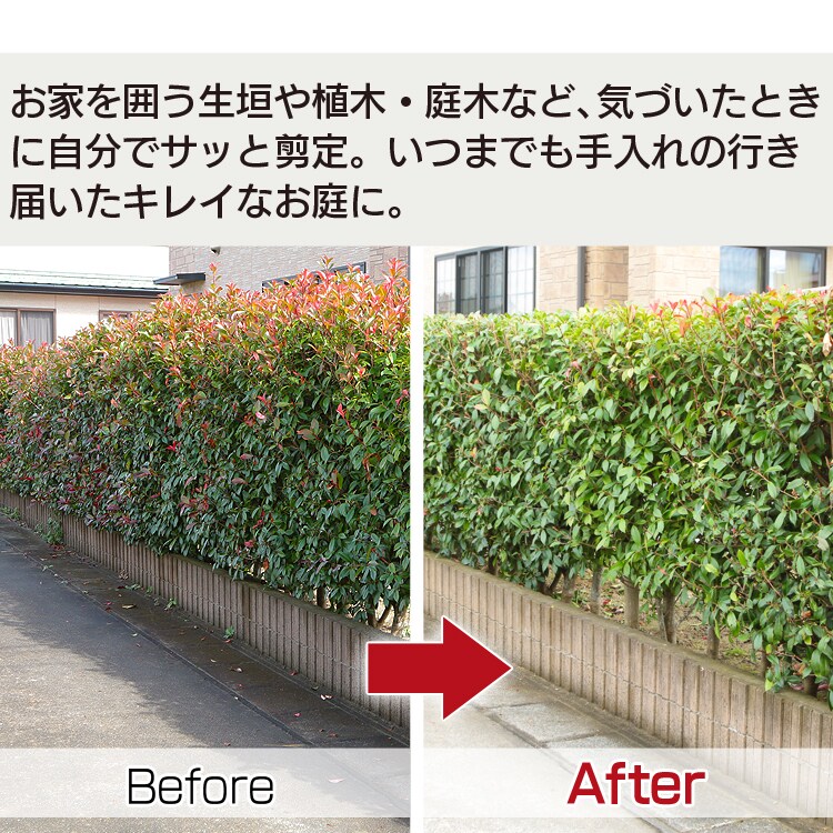 キレイなお庭に